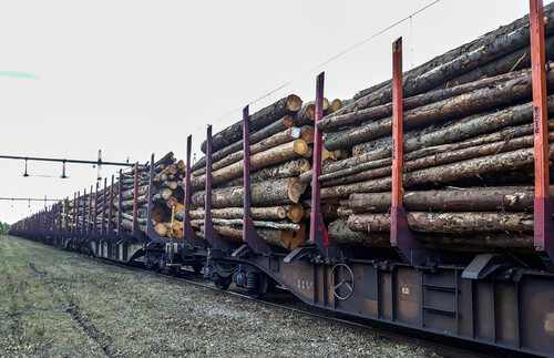 Transport av barkborreangripet virke från terminalen i Falköping till Horndalsterminalen
i Dalarna. Tåget är cirka 320 meter långt.
