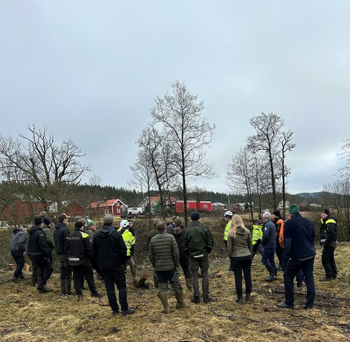 Gruppen samlas för att diskutera varför uttag av skogsbränsle utförs på betesmarker.