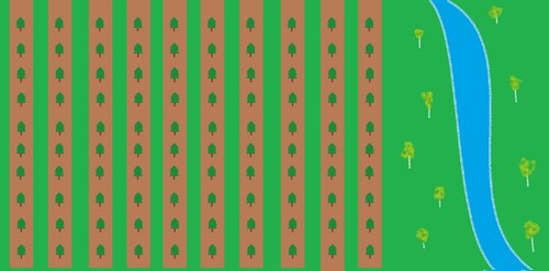 Det är bra att inte markbereda och plantera hela vägen ut till vattendrag.