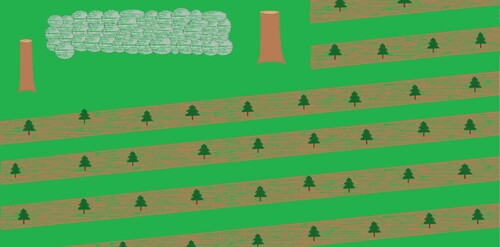 Markbered inte för nära stenmurar eller andra kulturlämningar. Kulturstubbarna gör det tydligare att ett avstånd ska hållas.