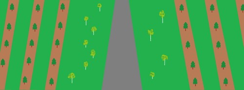 Lämna dessa partier bredvid skogsbilvägen orörda. Låt till exempel björk få komma fram.