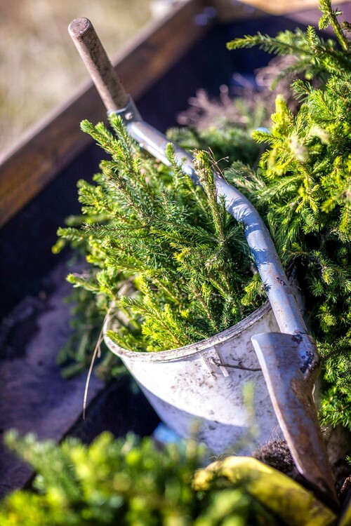 Foto: Örjan Henriksson