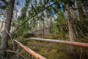 Foto: Lasse Arvidson