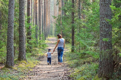 Foto: Adobe Stock