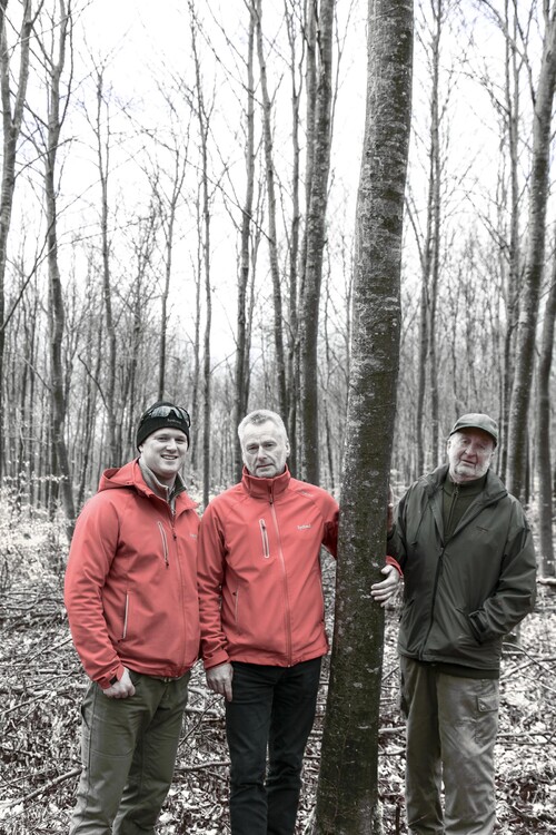 Viktor Jonsson, Thomas Höijer och Nils Gabrielsson glädjer sig åt en lyckad föryngring på Trolle-Ljungbys marker.