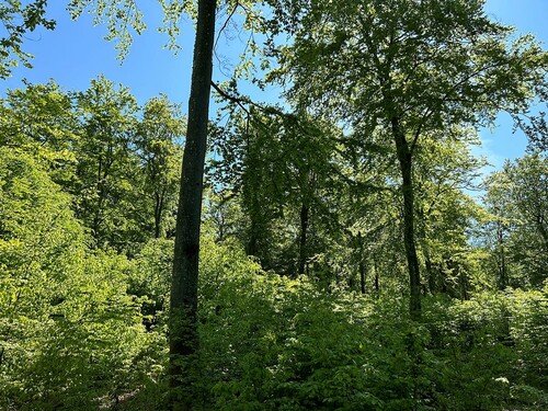 God bokföryngring kommer underifrån.