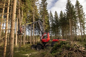 Håll minst 90 meters avstånd till maskiner i arbete för att undvika fallande träd, kvistar och kedjeskott. Foto: Anna Hållams