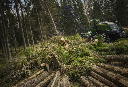 God skogsskötsel stärker skogen mot oförutsedda händelser.