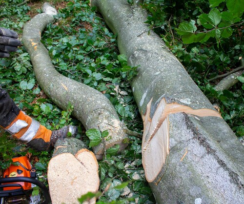 Gör du ett V-skär så öppnar du upp sågspåret, så att sågen inte kommer i kläm.