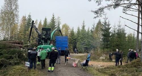 Foto: Therese Fjordäng