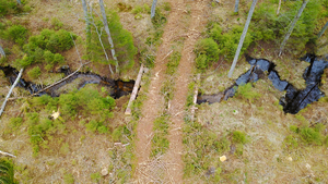 När man avverkar nära vatten måste man vara extra noggrann och planera körningen så att inte vattenmiljön riskerar att påverkas. Här en bro som är byggd av timmer och massaved från avverkningen. Foto: Anders Ehrenström