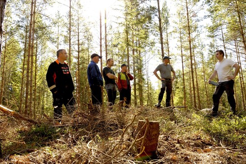Johan Roos, Ulf Claesson, Kristoffer Askhamre,  Dahn Josefsson, Magnus Alexandersson och Fredrik Ekelund diskuterar lösningar i avverkningen.