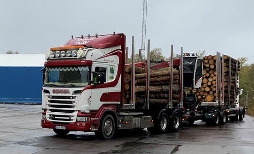 Just det här virket har transporterats till Otterbäcken med lastbil från avverkningar i distrikt Aspa.
