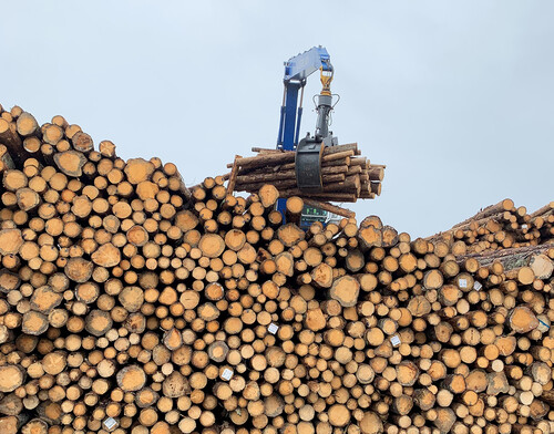 Hela lasten ska till ett sågverk i Wismar i norra Tyskland. Efter lastning blev det 20 kubikmeter kvar på kajen, en felmarginal på en halv procent.