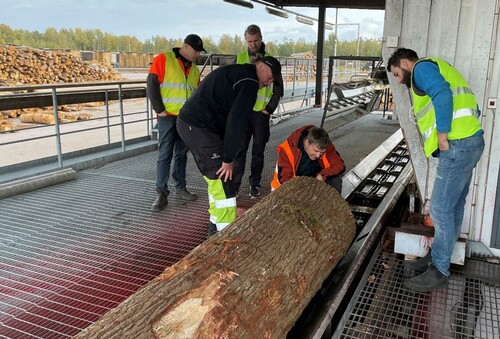 Ekstockar från Sydveds huggare klassas.