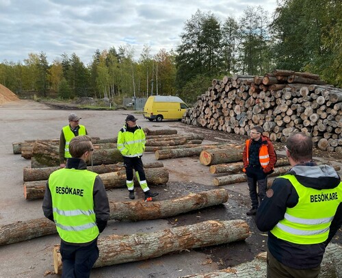 John Ahlgren och Magnus Bergström på Kährs samt Biometrias virkesmätare Mats pratar om ekaptering i ett parti av bränsleved.