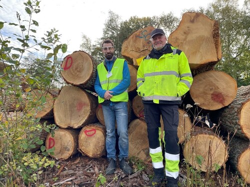 Sydveds huggare Rasmus bredvid diamantstockar som bedömts av Biometrias virkesmätare Mats.