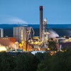 Aspa Pulp