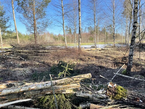 Vacker genomsikt till ett av banans vattenpartier.