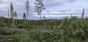 Foto: Lasse Arvidson