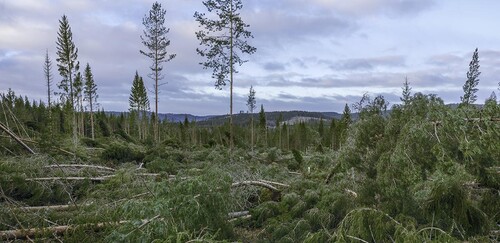 Foto: Lasse Arvidson