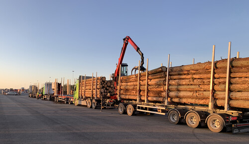 Lossning av barkborrtimmer som ska till Kina. En provleverans på en mindre volym lastas i containrar utanför Vaggeryd och går sedan via tåg till Göteborg, och i nästa steg med båt till Kina. Timret är 5,80 meter, men provleveransen ska innehålla 20% som är 11,8 meter.