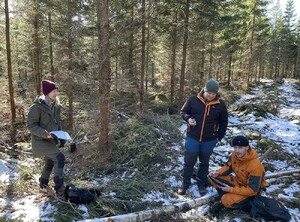 Här håller studenterna på och sammanställer alla klavade stammar.