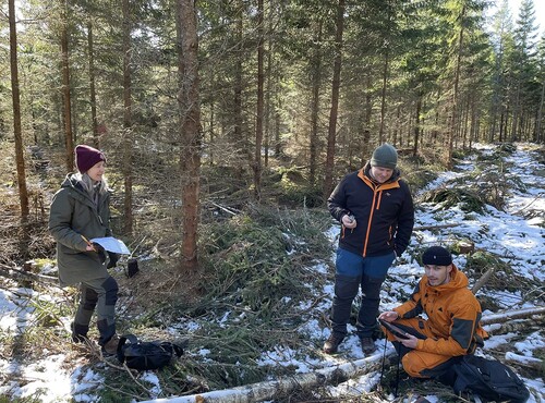 Här håller studenterna på och sammanställer alla klavade stammar.
