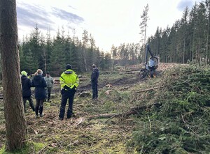 Skördarföraren berättar om hur han planerar avverkningen och grotanpassningen.