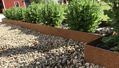 Rostig kant som ramar in rabatt med gröna växter