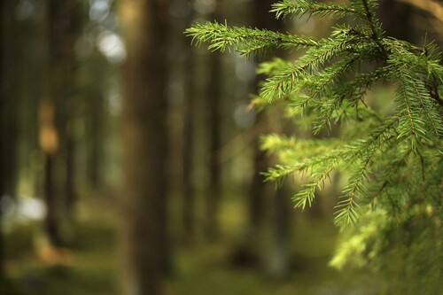 Bild: Kerstin Jonsson