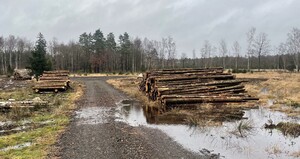 Den här nybyggda skogsvägen behöver en mindre vägtrumma för att den nya vägen inte ska bli en barriär för det naturliga vattenflödet.