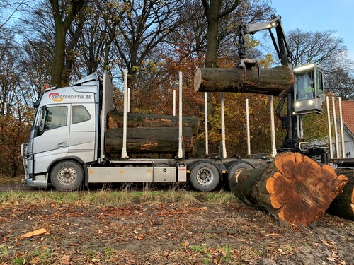 Övergrova boktimmerstockar lastas på timmerbilen. Endast sju stockar fick plats viktmässigt, trots att där var gott om plats på höjden. Tyngsta stocken vägde 2,2 ton. Chauffören på Skogslogistik hälsar att det gäller att ha tungan rätt i mun vid lastning av bitar som dessa.