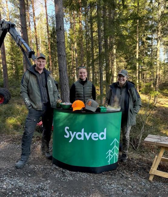 Sydved