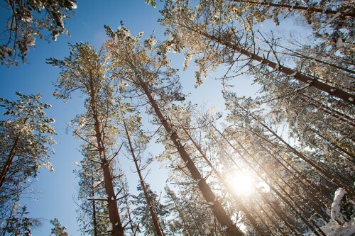 Foto: Mattias Bokinge