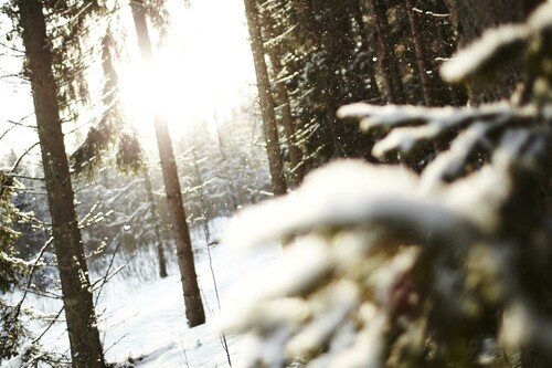 Foto: Sara Landstedt