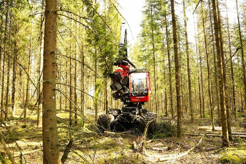 Foto: Mattias Bokinge