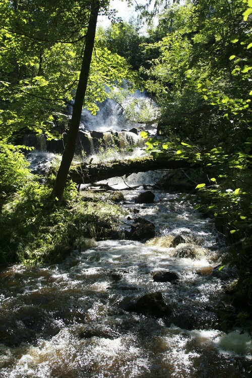 Foto: Kerstin Jonsson