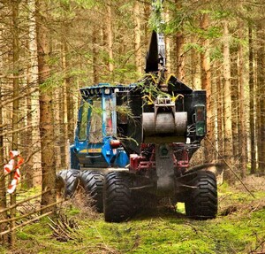 Askåterföring och gödsling