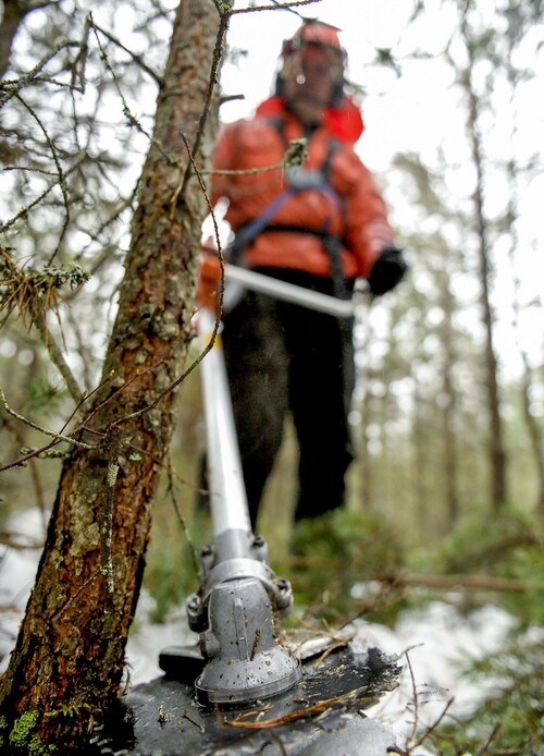 Foto: David Söderlind
